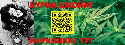 прущие грибы Гагарин