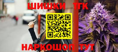 МДПВ Гатчина