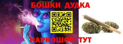 МДПВ Гатчина
