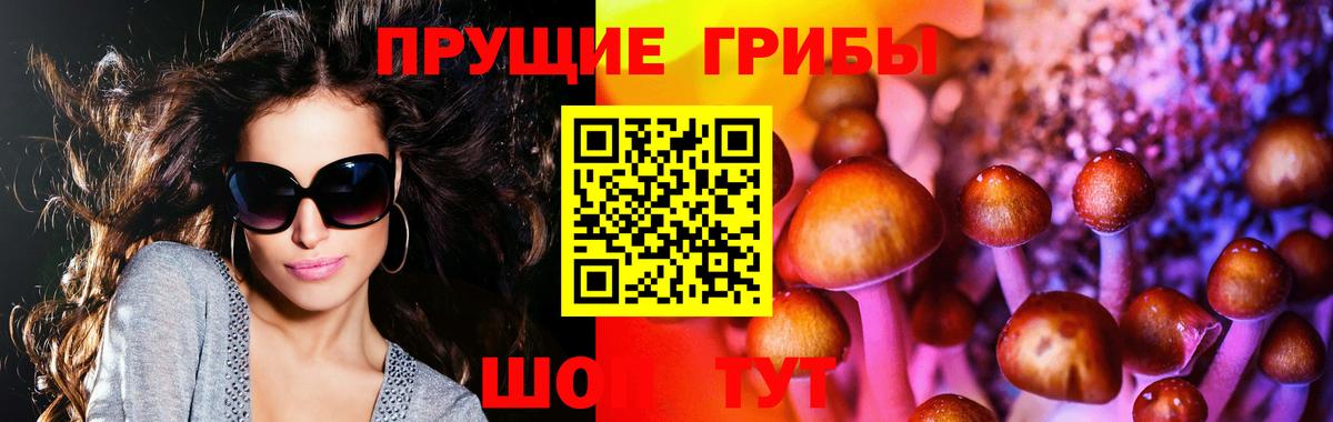 Псилоцибиновые грибы MAGIC MUSHROOMS Можайск